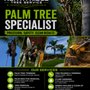 Photo of North Ridge Tree Service