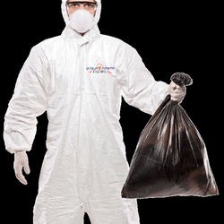 Ottawa Extreme Clean