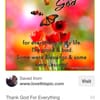 Sunrise Nail Salon & Spa gift card