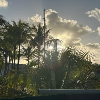 Sharkeys - Beautiful view from deck - American Near Me - Key Largo, Florida