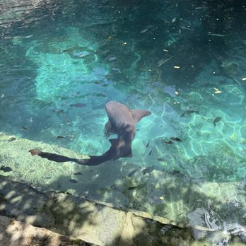 Xcaret Park - Amusement Parks Near Me - Playa del Carmen, ROO