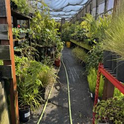 Heron's Head Nursery
