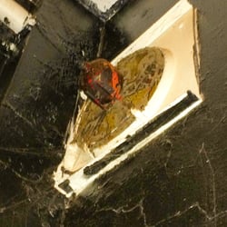 Pearl Street Nightclub - This is the fan in the bathroom