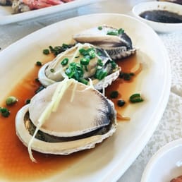 Abalone