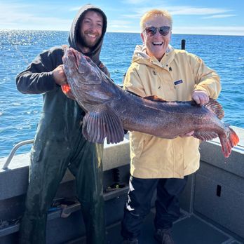 Jake's Saltwater Adventures - Lingcod caught aboard the Nauti Nellie with captain Jake - Fishing Near Me - Homer, Alaska Jake's Saltwater Adventures - Lingcod caught aboard the Nauti Nellie with captain Jake - Fishing Near Me - Homer, Alaska