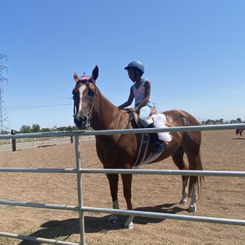 Topiary Farms - Horse Boarding Near Me - Vacaville, California Topiary Farms - Horse Boarding Near Me - Vacaville, California