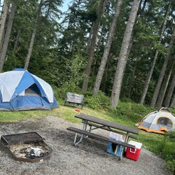 Alder Lake Park - Our campsite 205