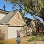 Photo of Pillows Tree Service and Landscaping