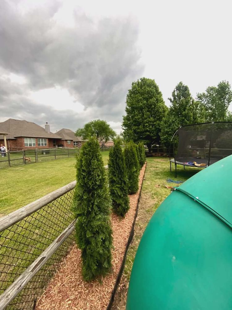 Mau's Lawn Care Services - tree service in Tulsa, OK