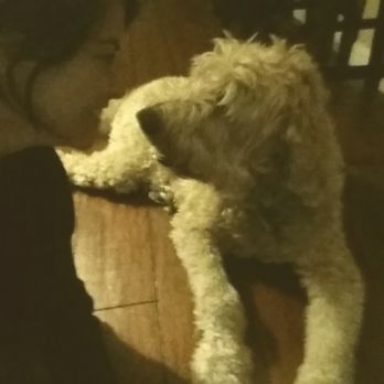Infinite Love Pet Sitting - Pet Sitting Near Me Infinite Love Pet Sitting - Pet Sitting Near Me