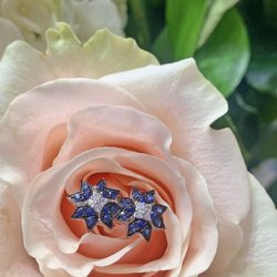 Van Horne Jewelers - Sapphire and diamond earrings
