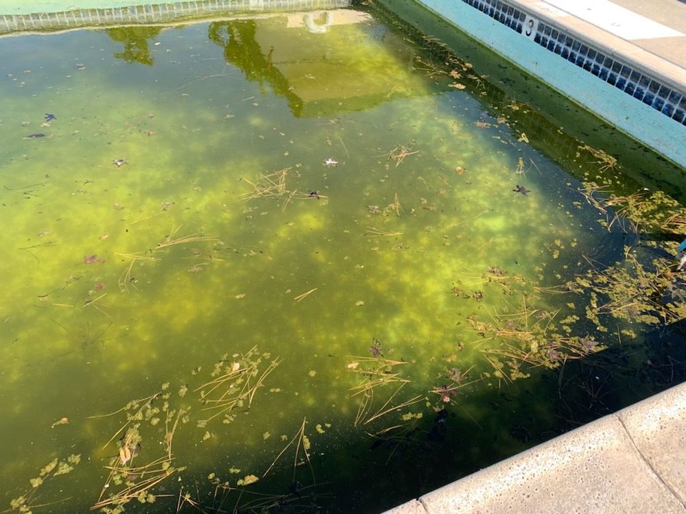 LEMON TREE MOBILE HOME PARK Updated August 2024 10 Reviews 1 Lemon Tree Cir, Vacaville