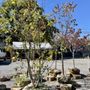 Hess' Landscaping & Nursery