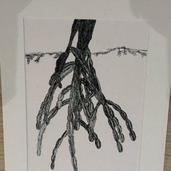 Museu Do Douro - Museums Near Me - Peso da Régua, 17