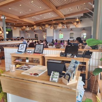 Tupelo Honey Southern Kitchen & Bar - Hostess area - New American Near Me - Irving, Texas