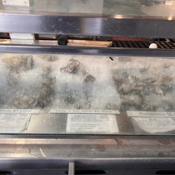 Quality Seafood - Oyster selection - Seafood Markets Near Me - Redondo Beach, California