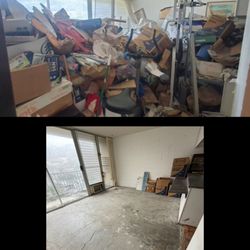 Bio-X Hawaii - living room