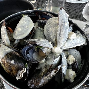 Restaurant Marinella - Mussels with Corsican cheese sauce - Restaurants Near Me - Ajaccio, 2A Restaurant Marinella - Mussels with Corsican cheese sauce - Restaurants Near Me - Ajaccio, 2A