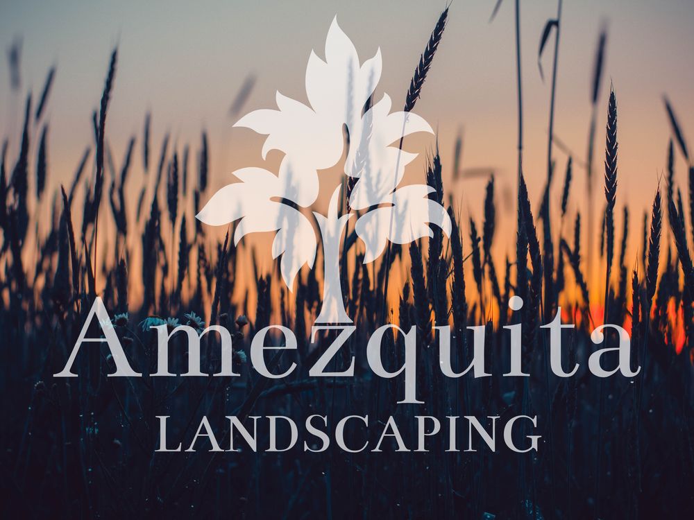 AMEZQUITA LANDSCAPING Updated October 2024 Request a Quote 18 Photos Roselle, Illinois