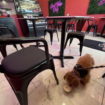 Stir It Up CoffeeHouse & Cafe - Pup cup! - Coffee & Tea Near Me - Spring Valley, California