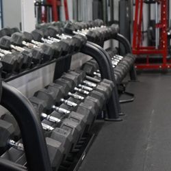 Stallion Fitness