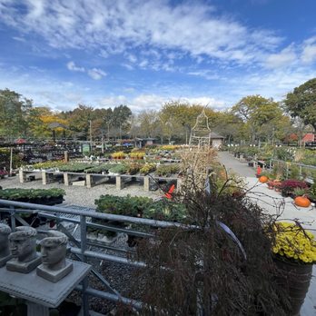 Mahoney's Garden Center - Nurseries & Gardening Near Me - Brighton, Massachusetts