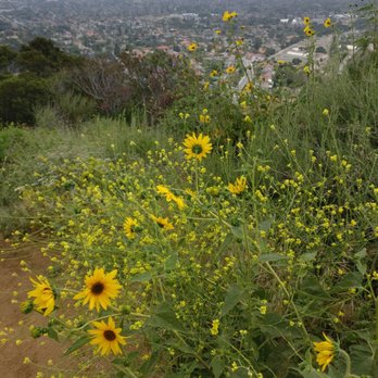 Mystic Canyon Hiking Trail - Hiking Near Me - Glendora, California Mystic Canyon Hiking Trail - Hiking Near Me - Glendora, California