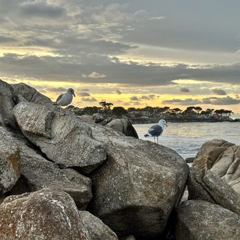 Lovers Point Park - Parks Near Me - Pacific Grove, California