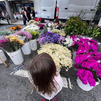 Studio City Farmers Market - Beautiful flower selection - Farmers Market Near Me - Studio City, California