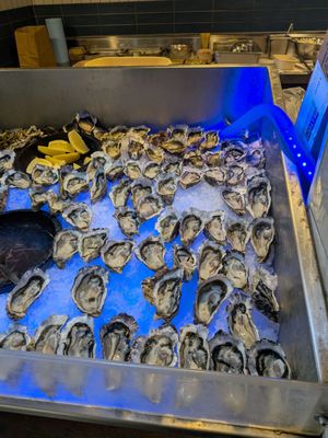 Auckland Fish Market by null