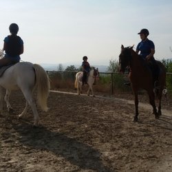 ASD Il Destriero