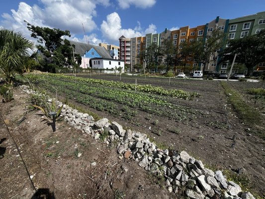 Meacham Urban Farm by null