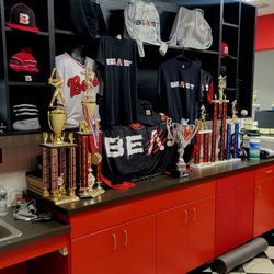 Beast Softball NY