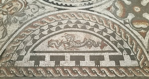 Corinium Museum by null