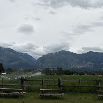 Fin's Tap House - American Near Me - Corvallis, Montana