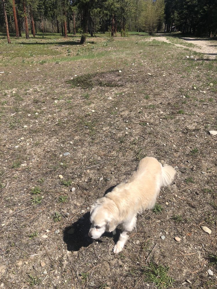 COUNTRYSIDE VETERINARY CLINIC Updated July 2024 12 Photos & 26