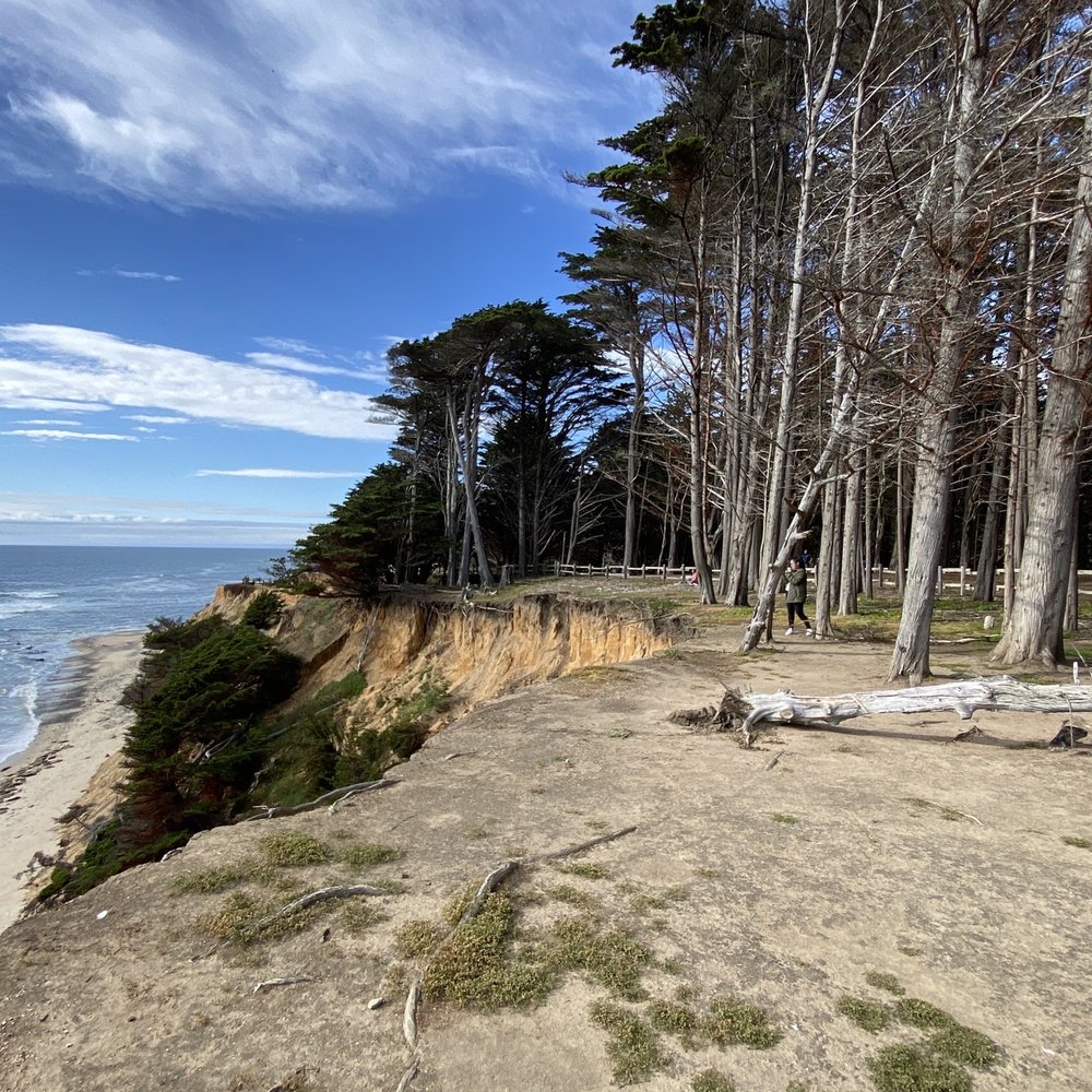 Fitzgerald Marine Reserve - Parks Near Me - Moss Beach, California
