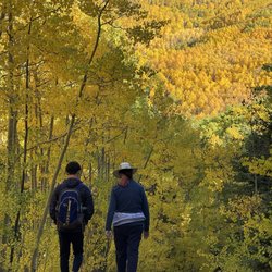 Aspen Vista Trail