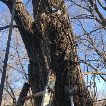 All 4 Seasons - Tree services - Lawn Services Near Me - Des Moines, Iowa
