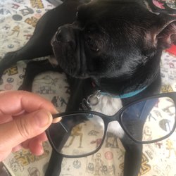 Brookhurst Optometric Center - New glasses for the win !