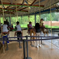 Nina's Home Care - Carrousel ride