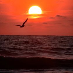 Mahajua Palms - World class sunsets