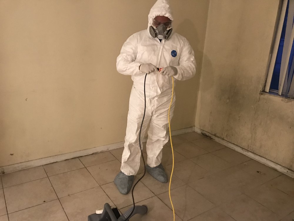 Photos of INSTACURE MOLD REMEDIATION Updated August 2024 30 Photos 11315 SW 154th Ter