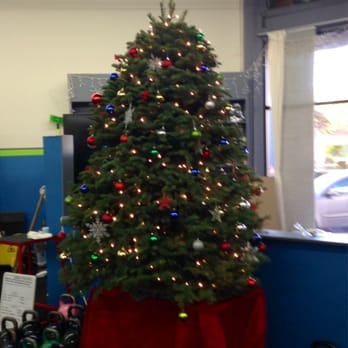 Physique Factor - Kettlebells under the Christmas tree. - Trainers Near Me - Pasadena, California Physique Factor - Kettlebells under the Christmas tree. - Trainers Near Me - Pasadena, California