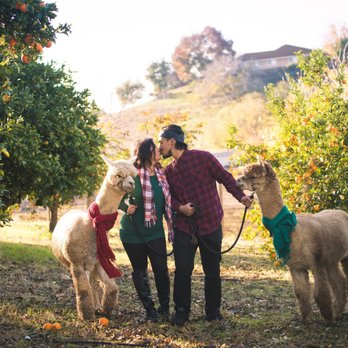 Menagerie Hill Ranch - Tours Near Me - Vacaville, California Menagerie Hill Ranch - Tours Near Me - Vacaville, California