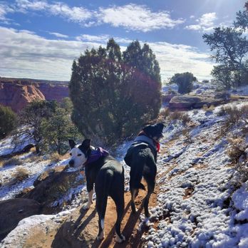 Canyon de Chelly National Monument - Parks Near Me Canyon de Chelly National Monument - Parks Near Me