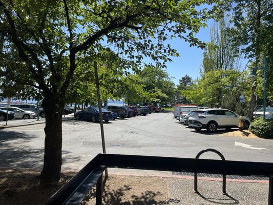 Flatstick Pub - Kirkland by null