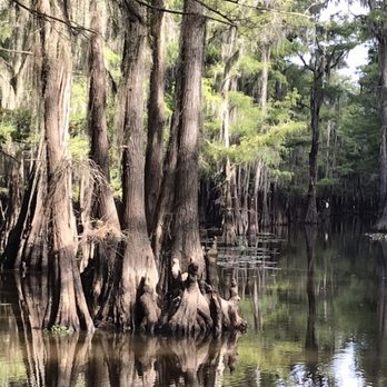 Captain Ron's Swamp Tours - Boat Tours Near Me Captain Ron's Swamp Tours - Boat Tours Near Me