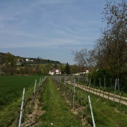 Heuriger Schilling
