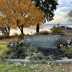 Marsh Park